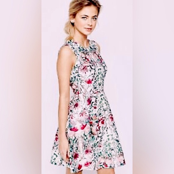 Ted Baker Gaea Bouquet Fit & Flare Sleeveless Floral Mini Dress. CL3 - Picture 4 of 11